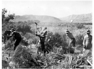dorthea lange manzanar